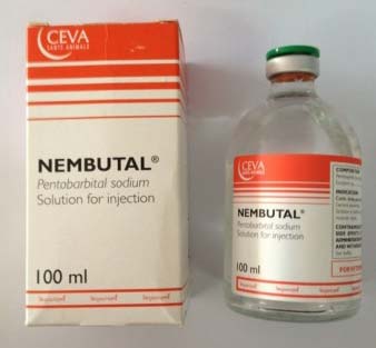 Buy Nembutal Sodium Oral Solution Online